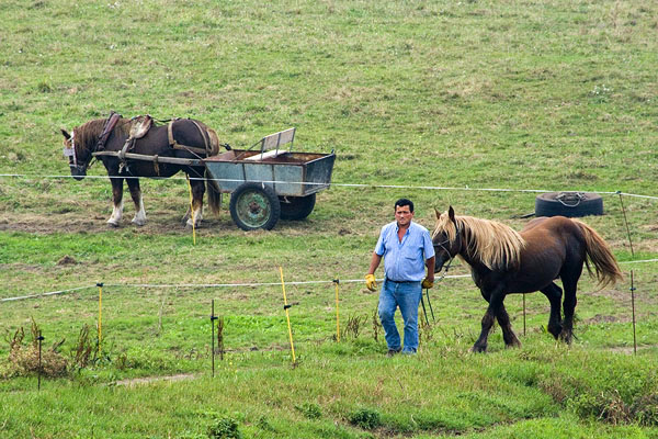 Traditional farming